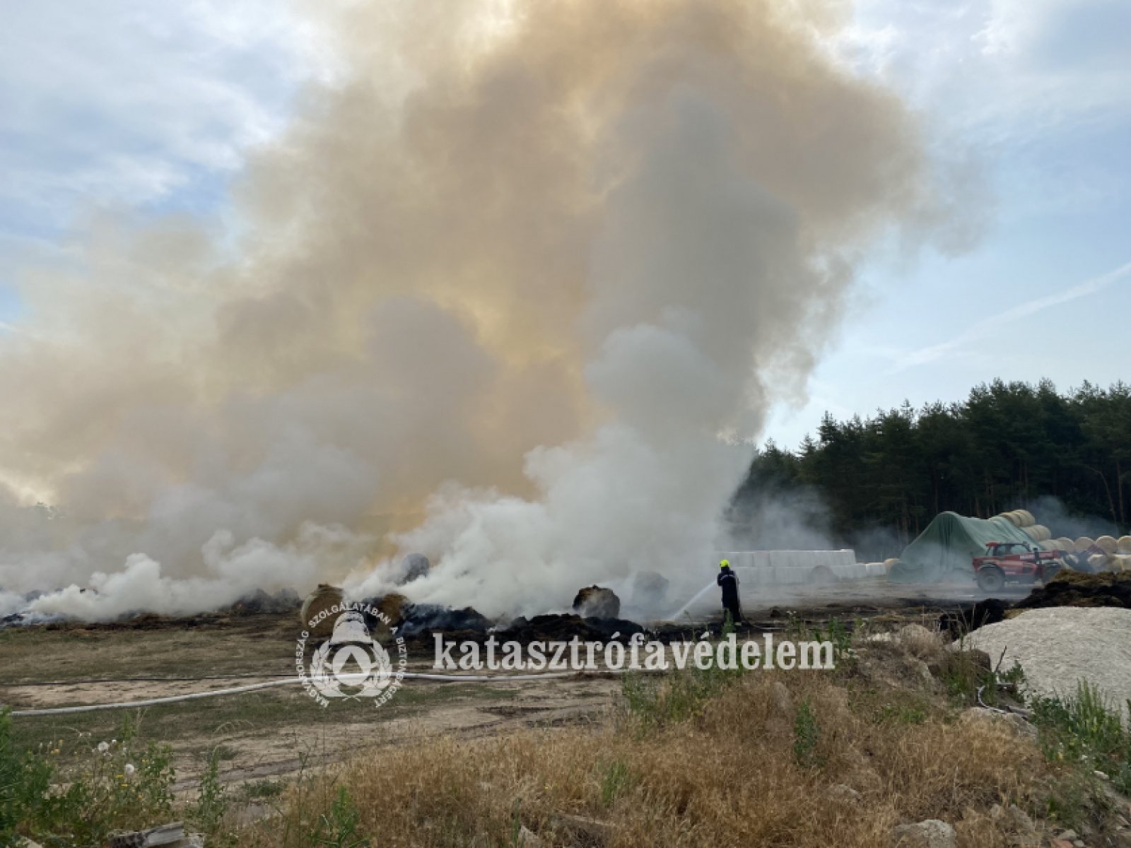 Bálatűz, erdőtűz és egy bajba jutott macska - Mozgalmas napjuk volt a pápai tűzoltóknak