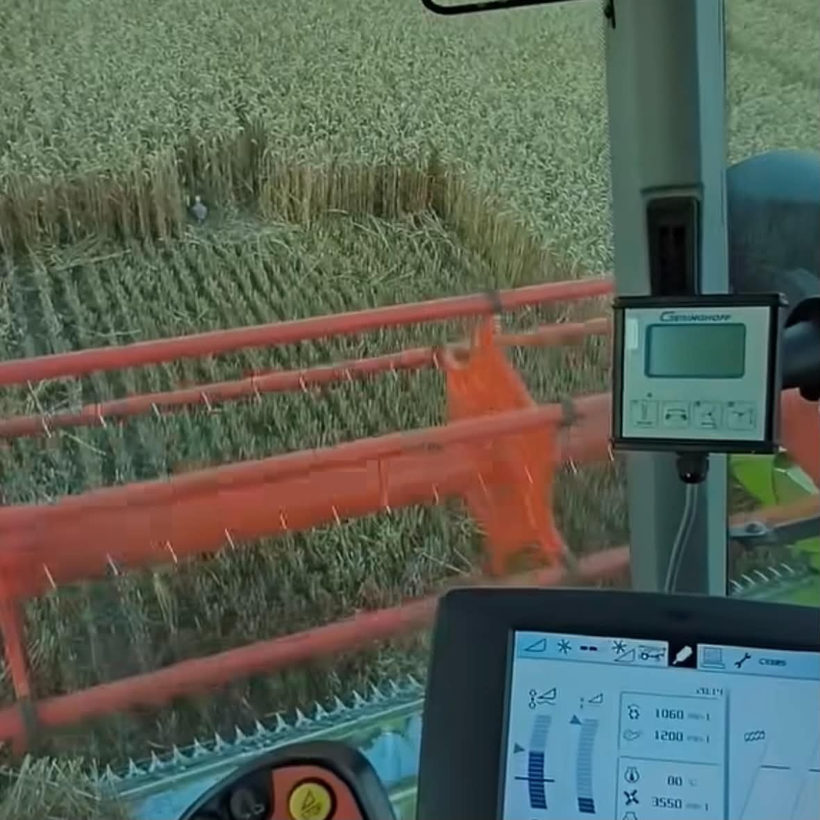 Életmentő aratás (Videóval)