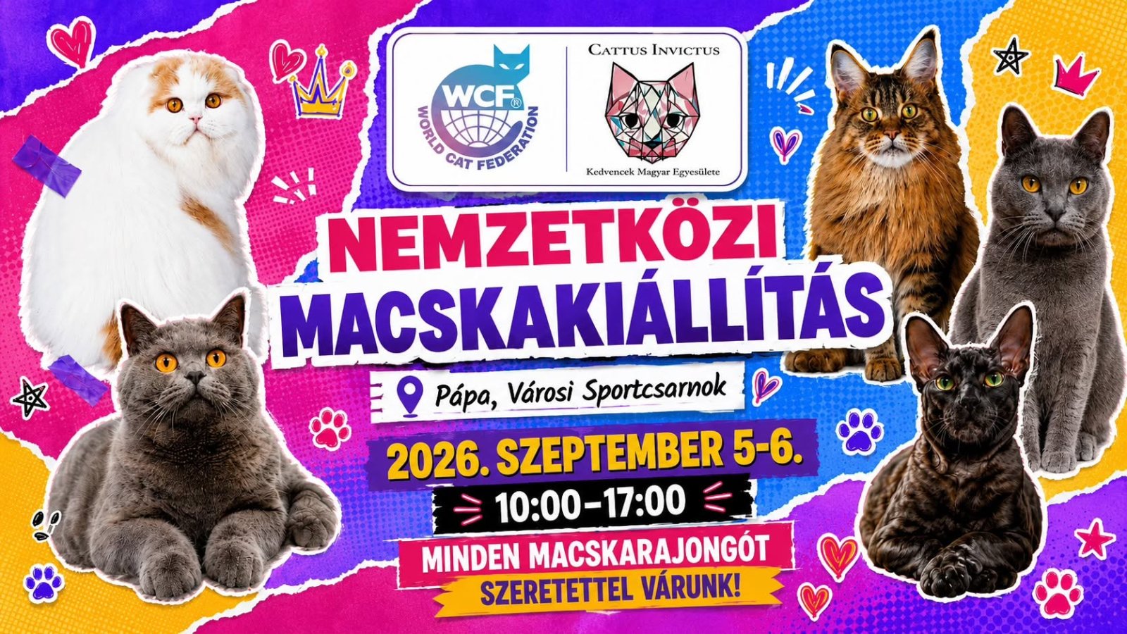 Nemzetközi macskakiállítás Pápán